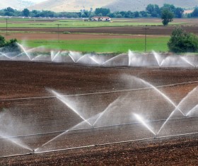 Field Irrigation System watering Stock Photo 02