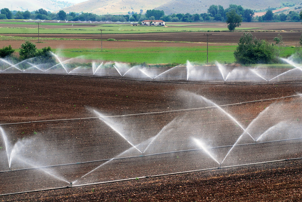 Field Irrigation System watering Stock Photo 02