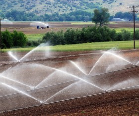 Field Irrigation System watering Stock Photo 03