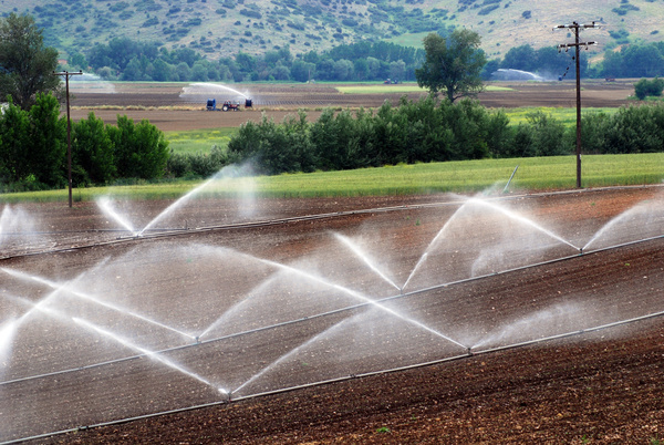 Field Irrigation System watering Stock Photo 03