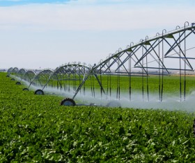 Field Irrigation System watering Stock Photo 04