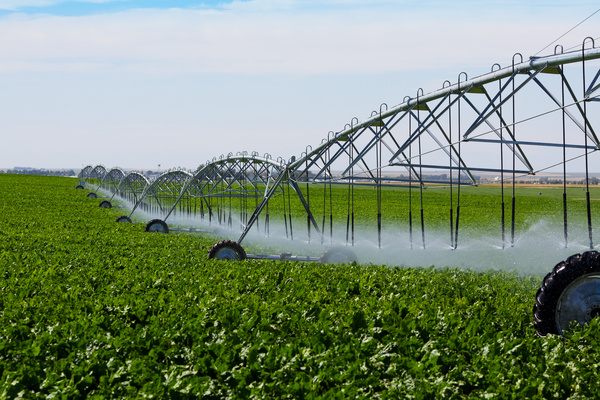 Field Irrigation System watering Stock Photo 04