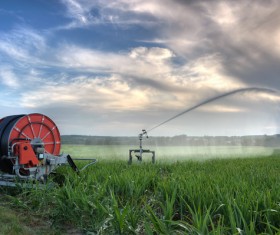 Field Irrigation System watering Stock Photo 05