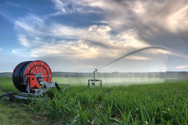 Field Irrigation System watering Stock Photo 05