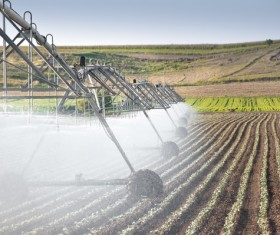 Field Irrigation System watering Stock Photo 06