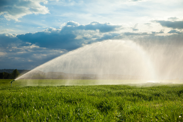 Field Irrigation System watering Stock Photo 07