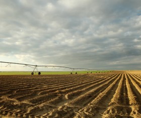 Field Irrigation System watering Stock Photo 08