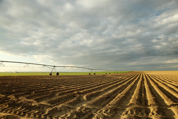 Field Irrigation System watering Stock Photo 08