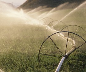 Field Irrigation System watering Stock Photo 10
