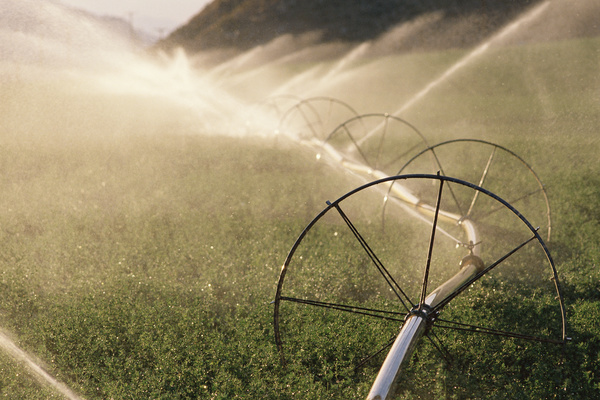 Field Irrigation System watering Stock Photo 10