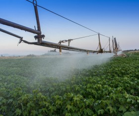Field Irrigation System watering Stock Photo 12