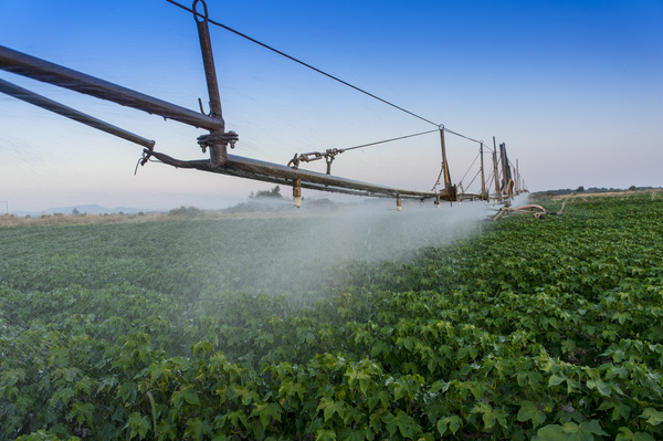 Field Irrigation System watering Stock Photo 12