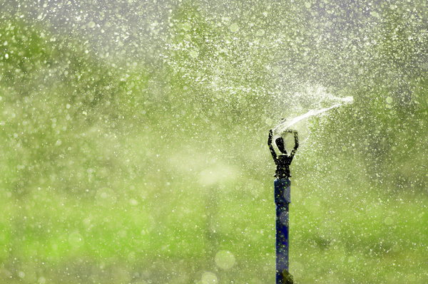 Field Irrigation System watering Stock Photo 14