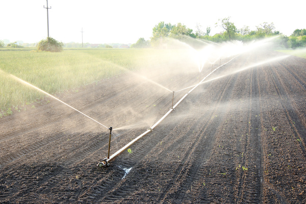 Field Irrigation System watering Stock Photo 15
