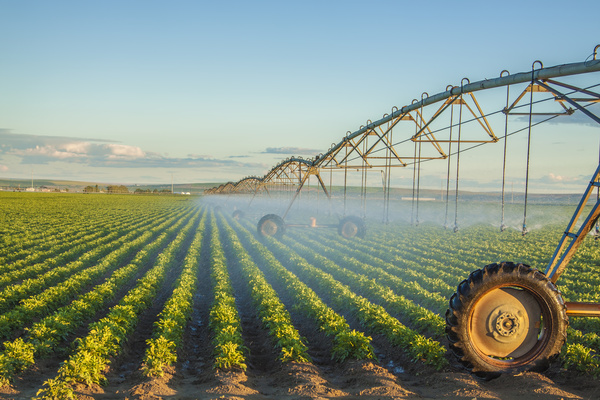 Field Irrigation System watering Stock Photo 16