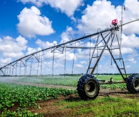 Field Irrigation System watering Stock Photo 18