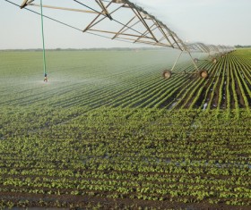 Field Irrigation System watering Stock Photo 22