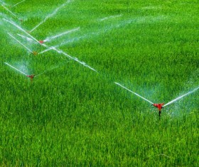 Field Irrigation System watering Stock Photo 23