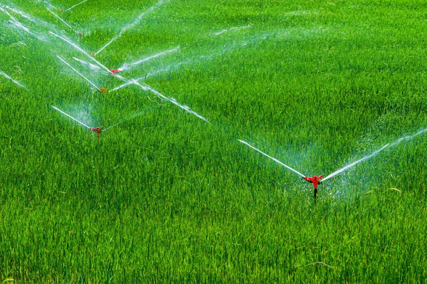 Field Irrigation System watering Stock Photo 23