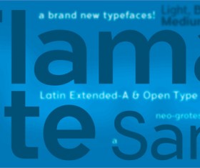 Flamante Sans Bold fonts
