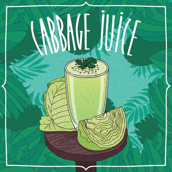 Fresh green cabbage juice poster vector