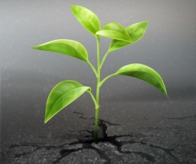 Green seedlings with land vector