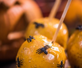 Halloween toffee apple Stock Photo 13