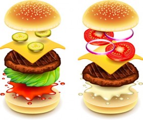 Hamburg ingredients vector material