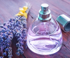 Luxury premium perfume Stock Photo 03