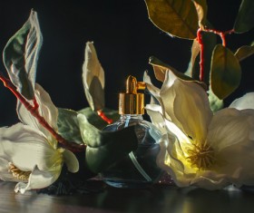 Luxury premium perfume Stock Photo 21