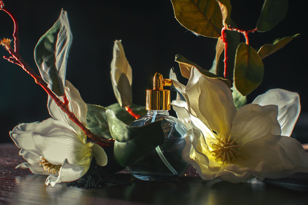 Luxury premium perfume Stock Photo 21