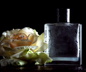 Luxury premium perfume Stock Photo 23