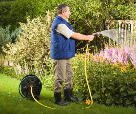 Man watering plant gardening Stock Photo 01