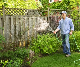 Man watering plant gardening Stock Photo 03