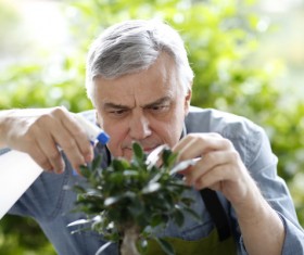 Man watering plant gardening Stock Photo 06
