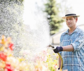 Man watering plant gardening Stock Photo 09