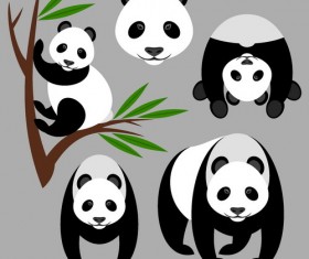 Panda and Bamboo vector