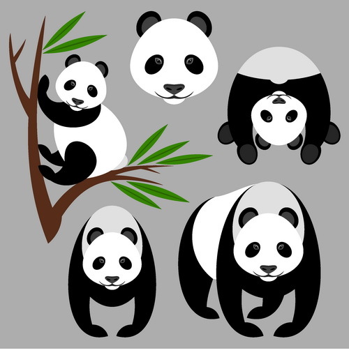 Panda and Bamboo vector