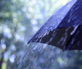 Rain umbrella Stock Photo 01