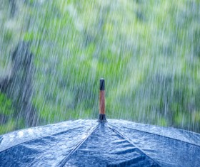 Rain umbrella Stock Photo 02