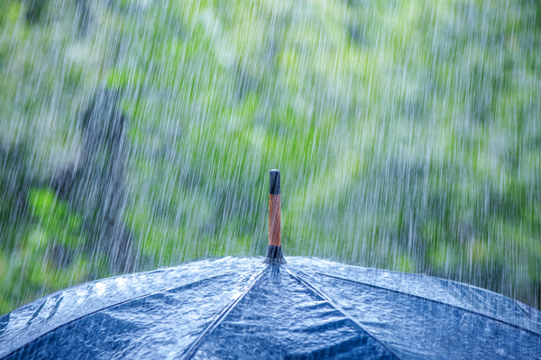 Rain umbrella Stock Photo 02