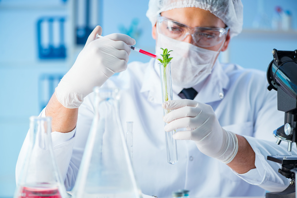 Scientists cultivate plants in the laboratory Stock Photo 01