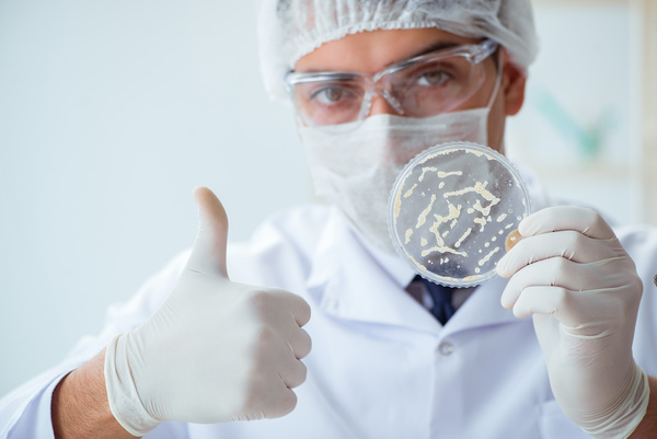 Scientists develop cells in the laboratory Stock Photo 01