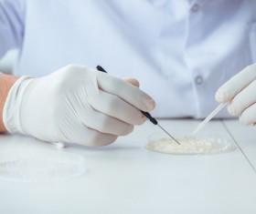 Scientists develop cells in the laboratory Stock Photo 02