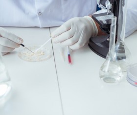 Scientists develop cells in the laboratory Stock Photo 03