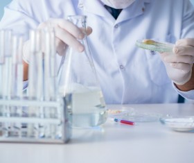 Scientists develop cells in the laboratory Stock Photo 04