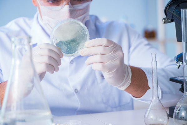 Scientists develop cells in the laboratory Stock Photo 05