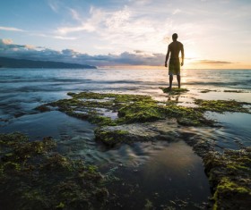 Standing on the beach watching the sunrise man Stock Photo