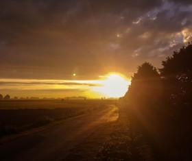 Sunny morning Stock Photo