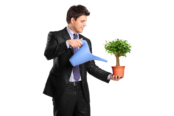 Water the plant young man Stock Photo